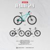 Dominate A-One 29 Catalog
