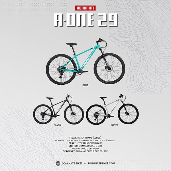 Dominate A-One 29 Catalog